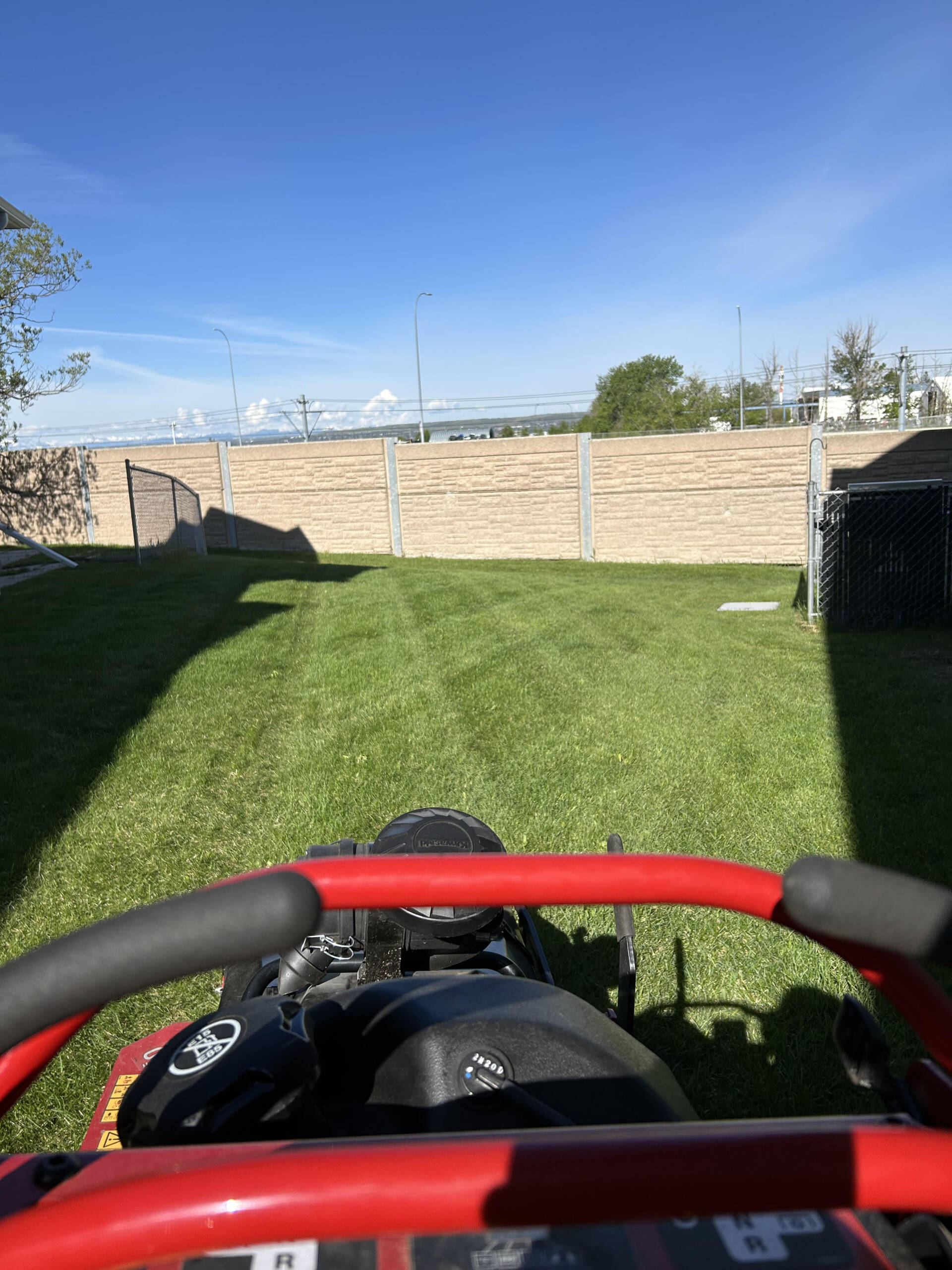 A freshly cut lawn