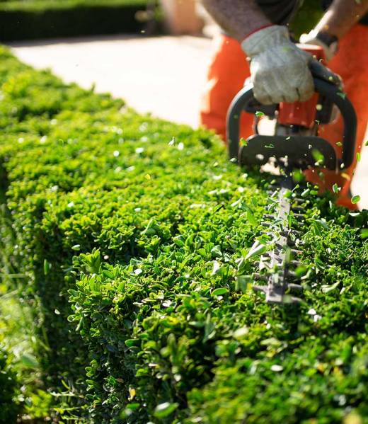 Trimming Trimming